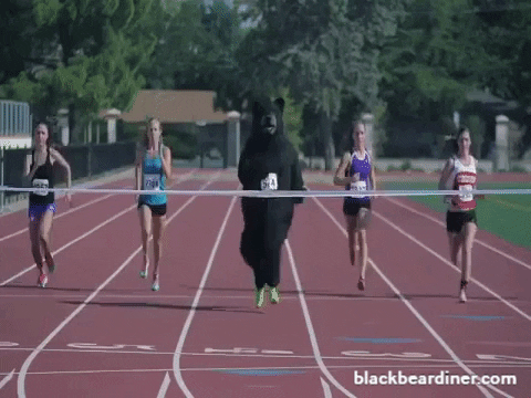 BlackBearDiner giphyupload racing bear bears GIF