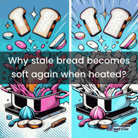 Stale Bread GIF by ExplainingWhy.com