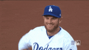 Regular Season Sport GIF by MLB