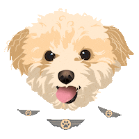 Indiana Indy Sticker by HeARTs Speak