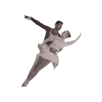 StageDoorDanceArts stage door dance arts stagedoordancearts stage door stagedoor Sticker