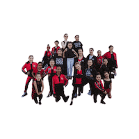 StageDoorDanceArts stage door dance arts stagedoordancearts stage door stagedoor Sticker
