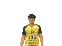 Sport Handball Sticker by Hazebrouckhandball