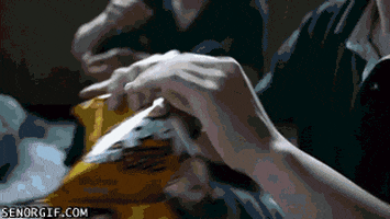 Chips You Are Going To Eat Them All Anyways GIF