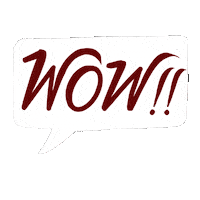 Wowzers Wow Sticker