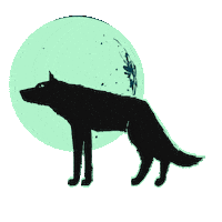 Black Cat Sticker by Freeform