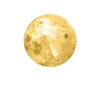 Cat Halloween Sticker by Alena Geyzer