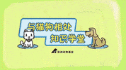 animalsasia animalsasia karenmok GIF