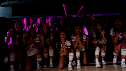TommieAthletics giphyupload celebration clap clapping GIF