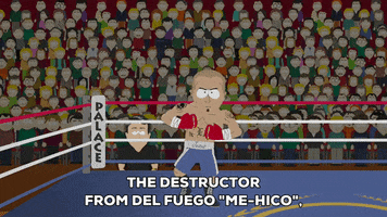 boxing fighting GIF by South Park 
