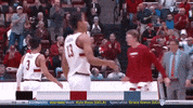 gostanford  GIF