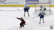 Happy Carolina Hurricanes GIF by NHL
