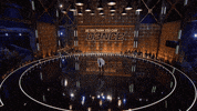 fox dancing GIF by So You Think You Can Dance