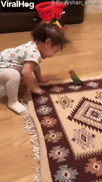 Parrot Cleverly Evades Toddler