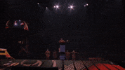 Circus Backflip GIF by Ringling Bros. and Barnum & Bailey