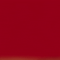 GIF by KingfisherWorld