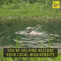 Biodiversity GIF by 60 Second Docs