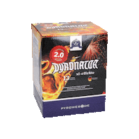 pyroweb_de silvester feuerwerk batterie pyroweb Sticker