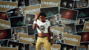 Georgia Tech Football GIF by Georgia Tech Yellow Jackets