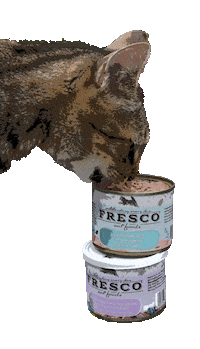 FrescoDog frescodog frescofood frescodogfood Sticker