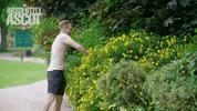 Happy Dance GIF by Absolutely Ascot