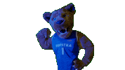 Long Island Hofstrau Sticker by Hofstra University