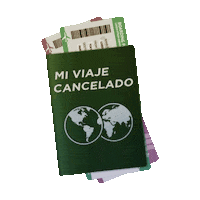 Cempasuchil Pandemuerto Sticker by Linio México