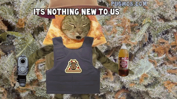 THE PIZZACAT : PIZZA ALL THE TIME. Churro Made the Beat (original viral video 2014)