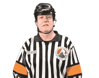ThunderbirdsAHL springfield thunderbirds tbirds t-birds Sticker
