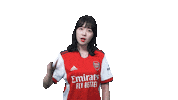 Arsenal Gunners Sticker by Shoot for Love