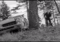night of the living dead horror GIF