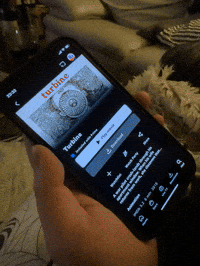 GIF by Alex Boya