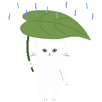Rain ねこ Sticker
