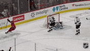 Happy Carolina Hurricanes GIF by NHL