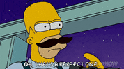 Episode 5 GIF by The Simpsons