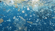 Earth Day GIF by 4ocean