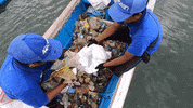 Earth Day GIF by 4ocean