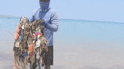 Earth Day GIF by 4ocean