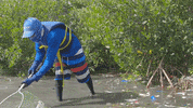 Earth Day GIF by 4ocean