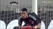 GIF by Sport Lisboa e Benfica