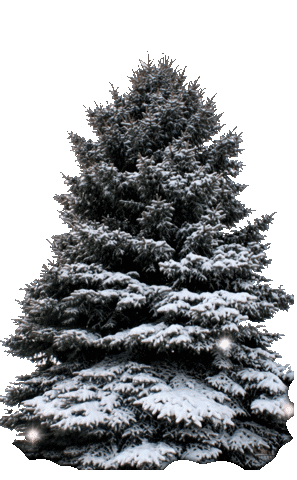 Feliz Navidad Snow Sticker