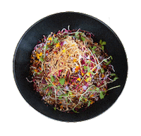 Salad Stayathome Sticker by Toben Food By Design