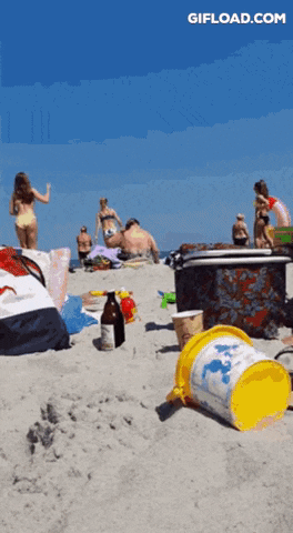 GifJungle giphygifmaker GIF