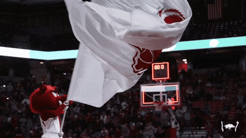 College Basketball GIF by Arkansas Razorbacks