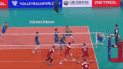 Score Celebrate GIF by Volleyball World