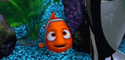 finding dory GIF