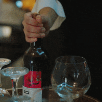 GIF by Eccho Rights