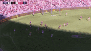 freodockers freodockers freohighlights aflfreosaints GIF
