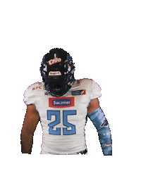 panthersfootball football panthers wroclaw pantherswroclaw Sticker