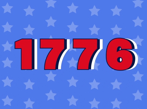 Independence Day America GIF by Todd Rocheford